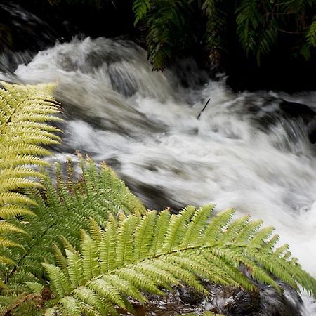 Frankie & Hugh'S Bed & Breakfast Ohakune Ngoại thất bức ảnh