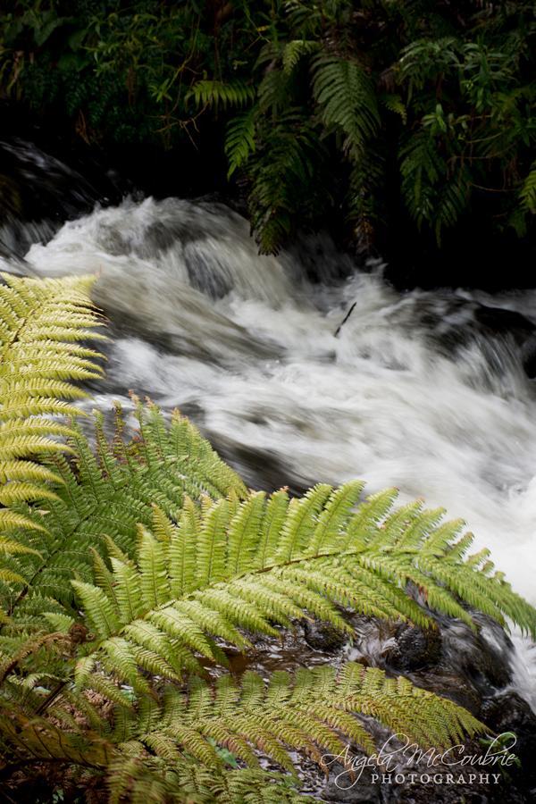 Frankie & Hugh'S Bed & Breakfast Ohakune Ngoại thất bức ảnh